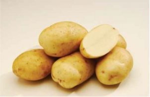 Riverina Russet